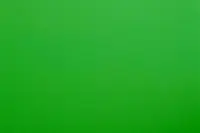 sg-sf-313-folie-fuer-moebel-und-wand-unifarben-gruen_244.jpg?ts=1684754214